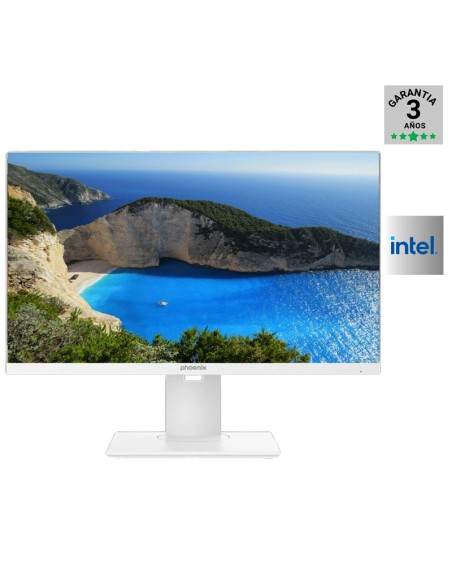 239502 AIOMF 23.8" PHOENIX     I3-14100  8GB 500GB NMVE FREE PN: GDX3050 EAN: 100000003050    